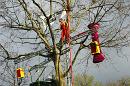groupe liberation des arbres 003 * 4272 x 2848 * (13.17MB)